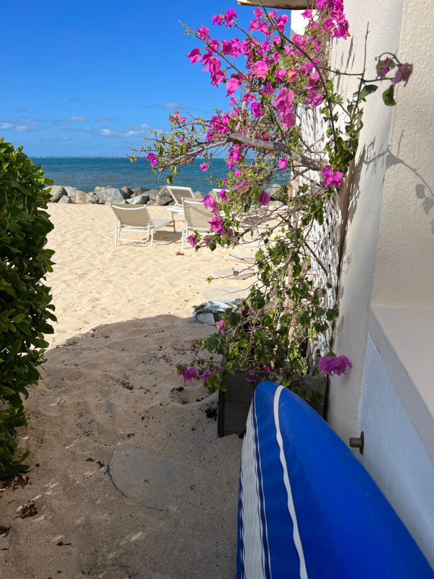 Sweet Home Sxm Baie Nettle Pieds Dans L'Eau Sandy Ground Экстерьер фото